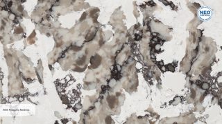 9060 Patagonia Martinica