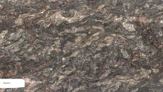 Saturino Polished
